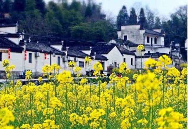 Xishan Wutong Qinyuan Huangshan Luaran gambar