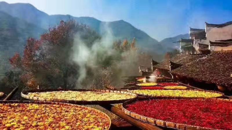 Xishan Wutong Qinyuan Huangshan Luaran gambar