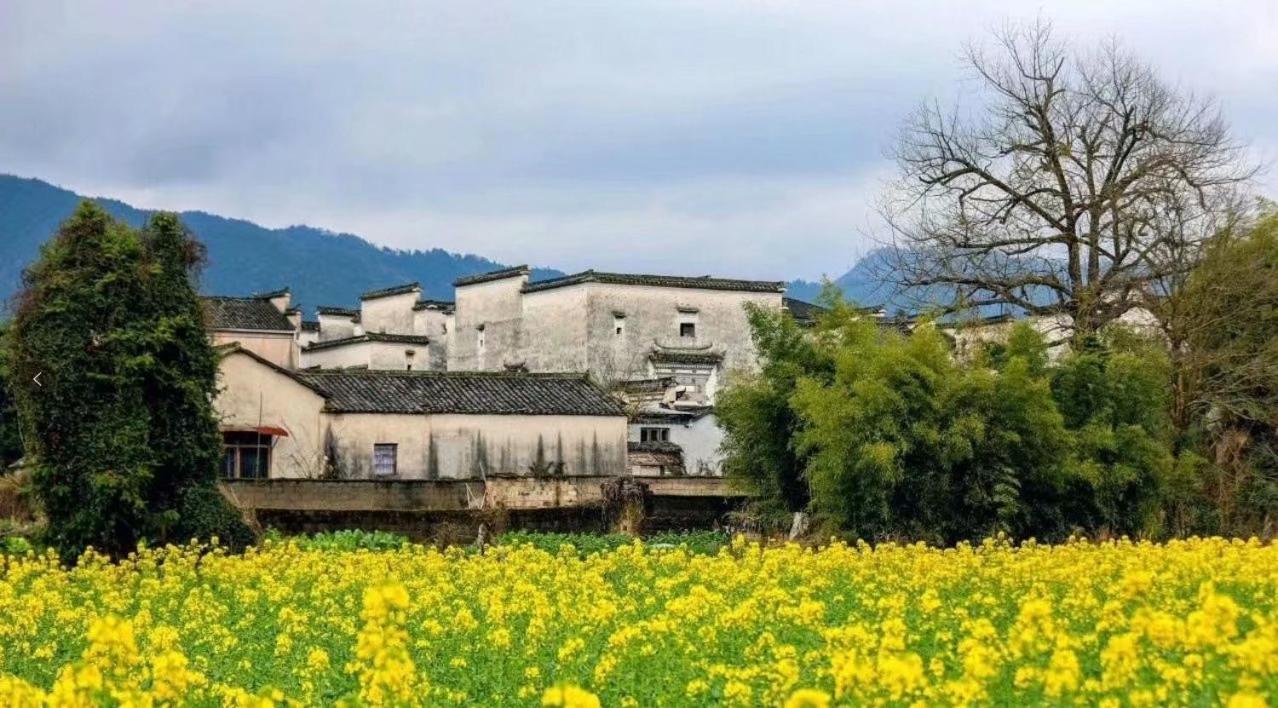 Xishan Wutong Qinyuan Huangshan Luaran gambar